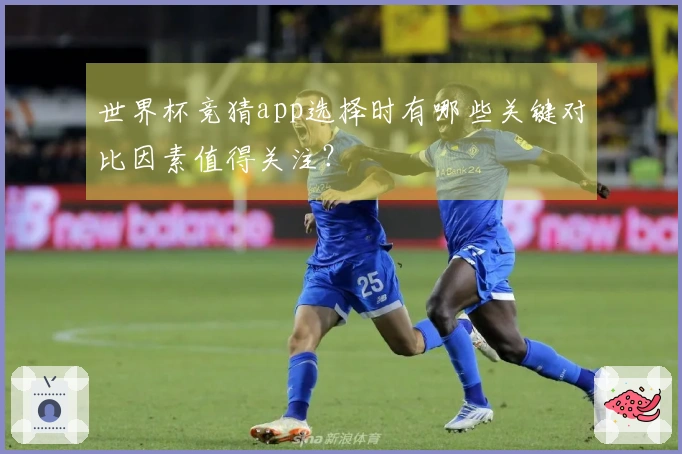 世界杯竞猜app选择时有哪些关键对比因素值得关注？