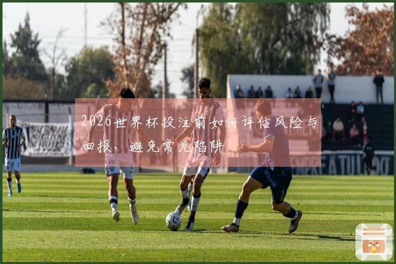 2026世界杯投注前如何评估风险与回报，避免常见陷阱