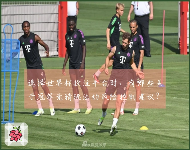 选择世界杯投注平台时，有哪些关于冠军竞猜玩法的风险控制建议？