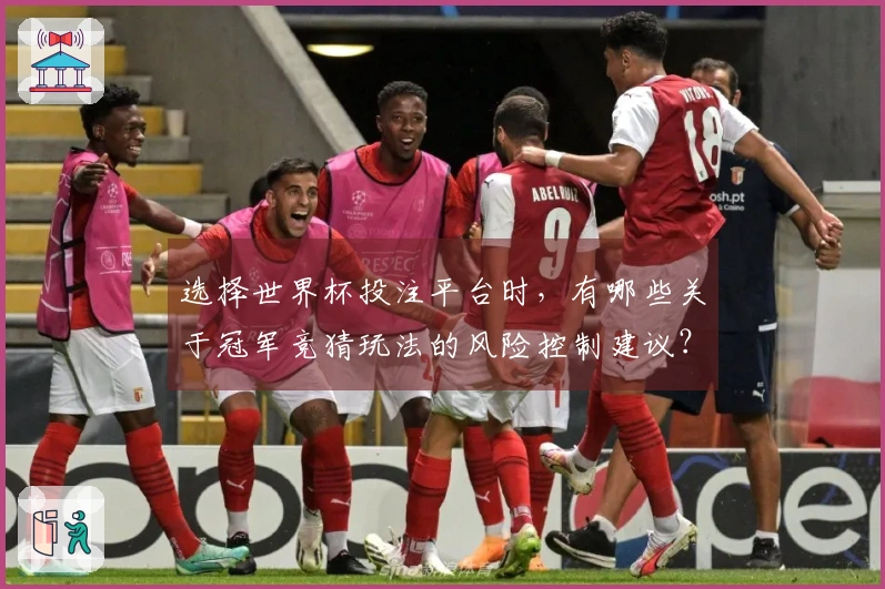 选择世界杯投注平台时，有哪些关于冠军竞猜玩法的风险控制建议？